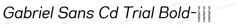 Gabriel Sans Cd Trial Bold字体转换
